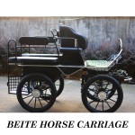 Horse Carriage Factory - Marathon Training Carriage