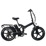 Electric Bike Manufacturer - TUV Full Suspension Folding