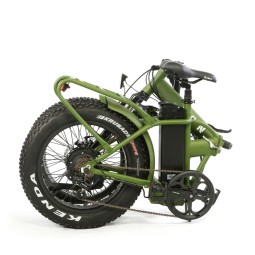 Electric Bike Manufacturer - 20 Inch Folding Fat Tire