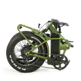 Electric Bike Manufacturer - 20 Inch Folding Fat Tire