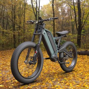 Electric Bike Factory - Full Suspension Mountain Ebike