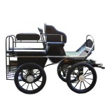 Horse Carriage Manufacturer - Professional Marathon BTH-01