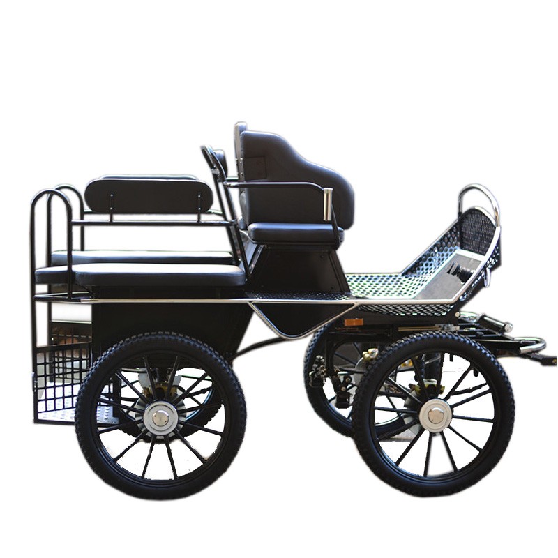 Horse Carriage Manufacturer - Professional Marathon BTH-01