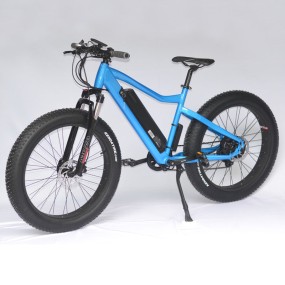 Ebike Factory - Cheap Price Mountain Snow Ebike