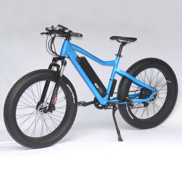 Ebike Factory - Cheap Price Mountain Snow Ebike