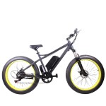Ebike Manufacturer - High Speed CE Approved