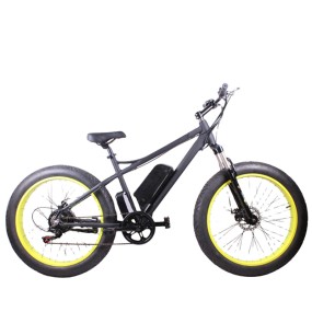 Ebike Manufacturer - High Speed CE Approved