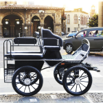 Horse Carriage Manufacturer - Professional Marathon BTH-01