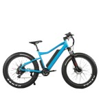 Electric Bike Factory - New 48V 750W Ebike