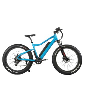 Electric Bike Factory - New 48V 750W Ebike