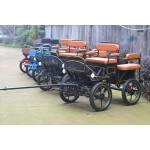 Pony Carriage Manufacturer - Small Horse Marathon Carriage