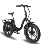 Ebike Factory - Italy Hot Sale Folding Fat Bike