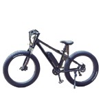 Ebike Manufacturer - Throttle Control Fat Tire