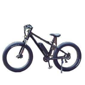Ebike Manufacturer - Throttle Control Fat Tire