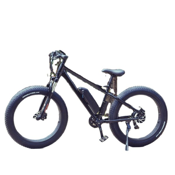 Ebike Manufacturer - Throttle Control Fat Tire