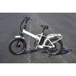 Ebike Factory - 20 Inch 1000W Folding Fat Tire