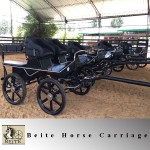 Horse Carriage Manufacturer - Professional Marathon BTH-01