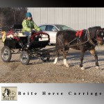 Horse Carriage Manufacturer - Marathon Training Carriage