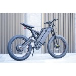 Electric Bike Factory - Full Suspension Mountain Ebike