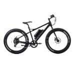 Ebike Manufacturer - Throttle Control Fat Tire