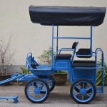 Horse Carriage Manufacturer - Folding Canopy Pony Carriage