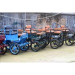 Pony Carriage Manufacturer - Small Horse Marathon Carriage