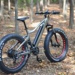 Ebike Factory - 1000W Bafang Fat Tire
