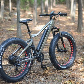 Ebike Factory - 1000W Bafang Fat Tire