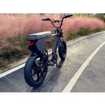 Ebike Factory - 20 Inch 7 Speed Aluminum Frame