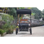 Horse Carriage Manufacturer - Folding Canopy Pony Carriage