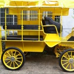 Horse Carriage Parts Factory - Buggy Component Set