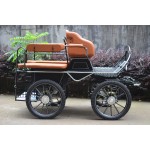 Horse Carriage Factory - Professional Marathon Carriage