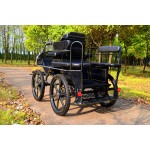 Horse Carriage Manufacturer - Durable Marathon Carriage