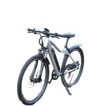 Electric Bike Factory - City Classic Mountain Ebike