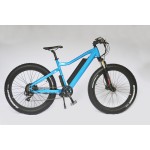 Ebike Factory - Integrated 48V Lithium Battery