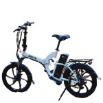 Electric Bicycle Factory - Full Suspension Folding