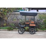 Horse Carriage Manufacturer - Folding Canopy Pony Carriage