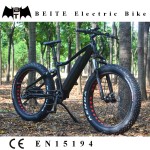 Ebike Manufacturer - 48V 750W Motorized Bicycle