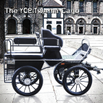 Horse Carriage Manufacturer - Professional Marathon BTH-01