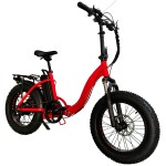 Electric Bicycle Manufacturer - City Electric Bicycle