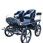 Horse Carriage Factory - Double Driving Seat Carriage