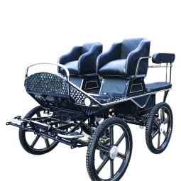 Horse Carriage Factory - Double Driving Seat Carriage