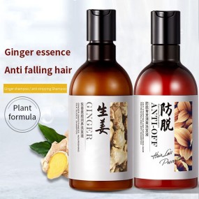 Hot Selling 300ml Ginger Essence Anti Hair Loss Shampoo for Women Hair Care