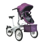 Parent-Child Tricycle Supplier - OEM Custom 20-Inch Bicycle