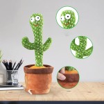 Cactus Plush Toy Factory - OEM Custom Electric Talking