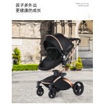 Leather Stroller Manufacturer - OEM Custom New Model