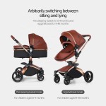 Luxury Stroller Manufacturer - OEM Custom High View