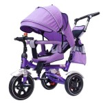 3-Wheel Tricycle Supplier - OEM Custom 2 in 1 Safe Design