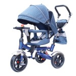 3-Wheel Tricycle Supplier - OEM Custom 2 in 1 Safe Design