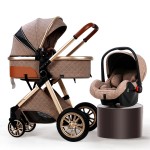 Double Stroller Supplier - OEM Custom 0-3 Year Old